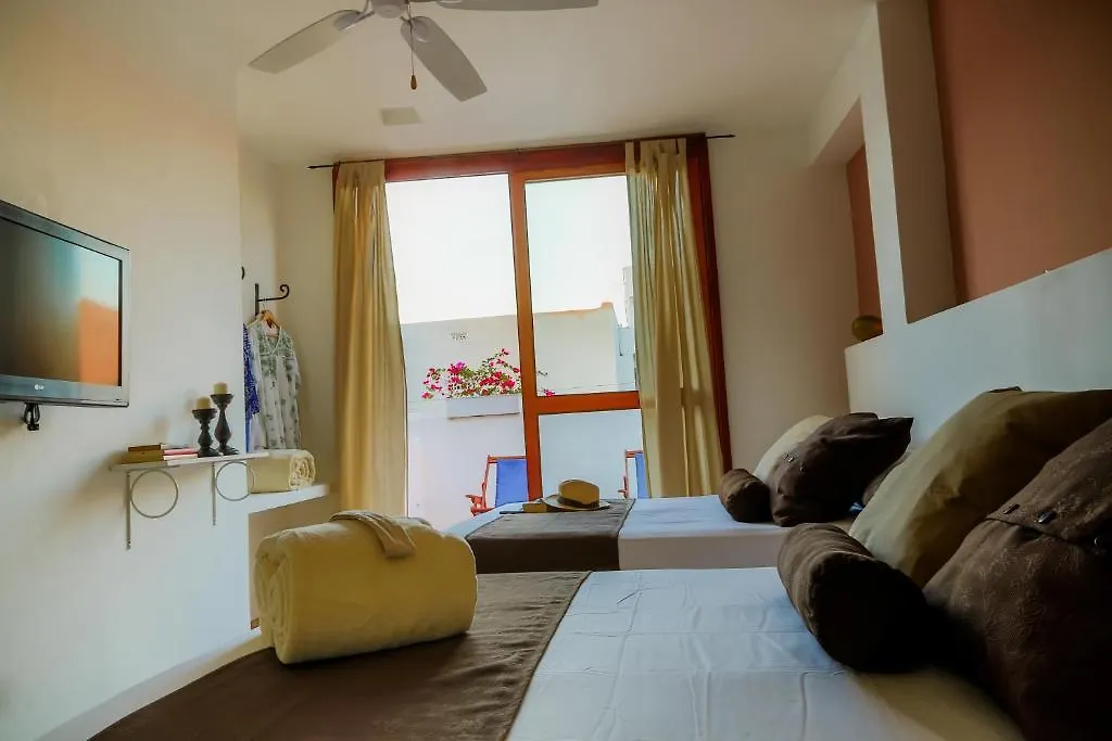 La Casa Del Arbol Hotel Boutique By Xarm Hotels Santa Marta