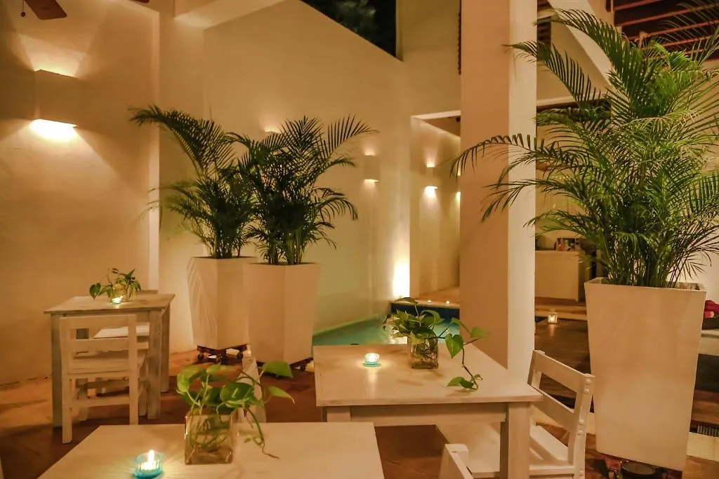 La Casa Del Arbol Hotel Boutique By Xarm Hotels Santa Marta  3*, Santa Marta (Magdalena) Colombia