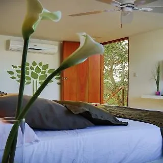La Casa Del Arbol Hotel Boutique By Xarm Hotels Santa Marta   Santa Marta (Magdalena)