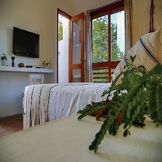 La Casa Del Arbol Hotel Boutique By Xarm Hotels Santa Marta  Santa Marta (Magdalena)