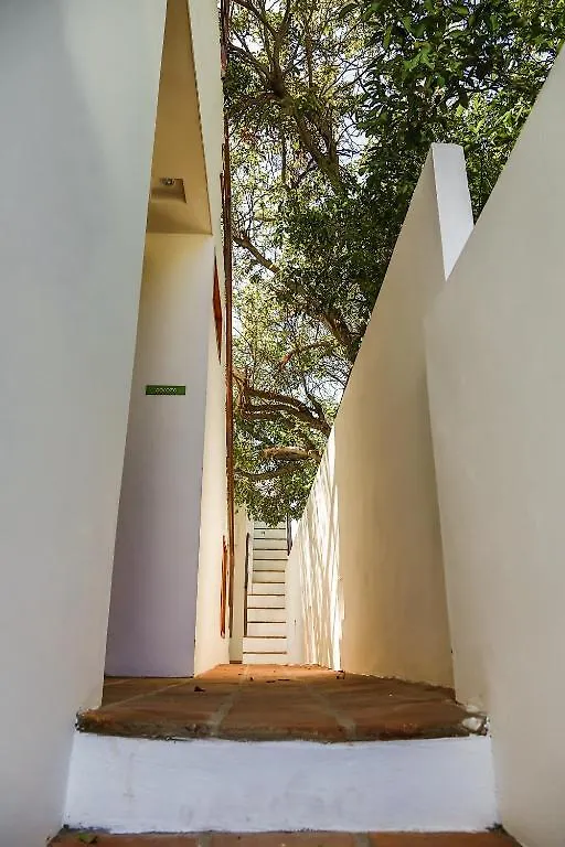 La Casa Del Arbol Hotel Boutique By Xarm Hotels Santa Marta   Santa Marta (Magdalena)