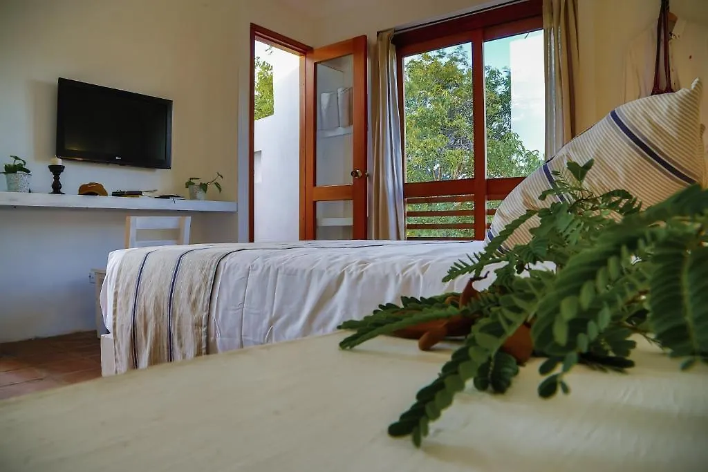 La Casa Del Arbol Hotel Boutique By Xarm Hotels Santa Marta  Colômbia