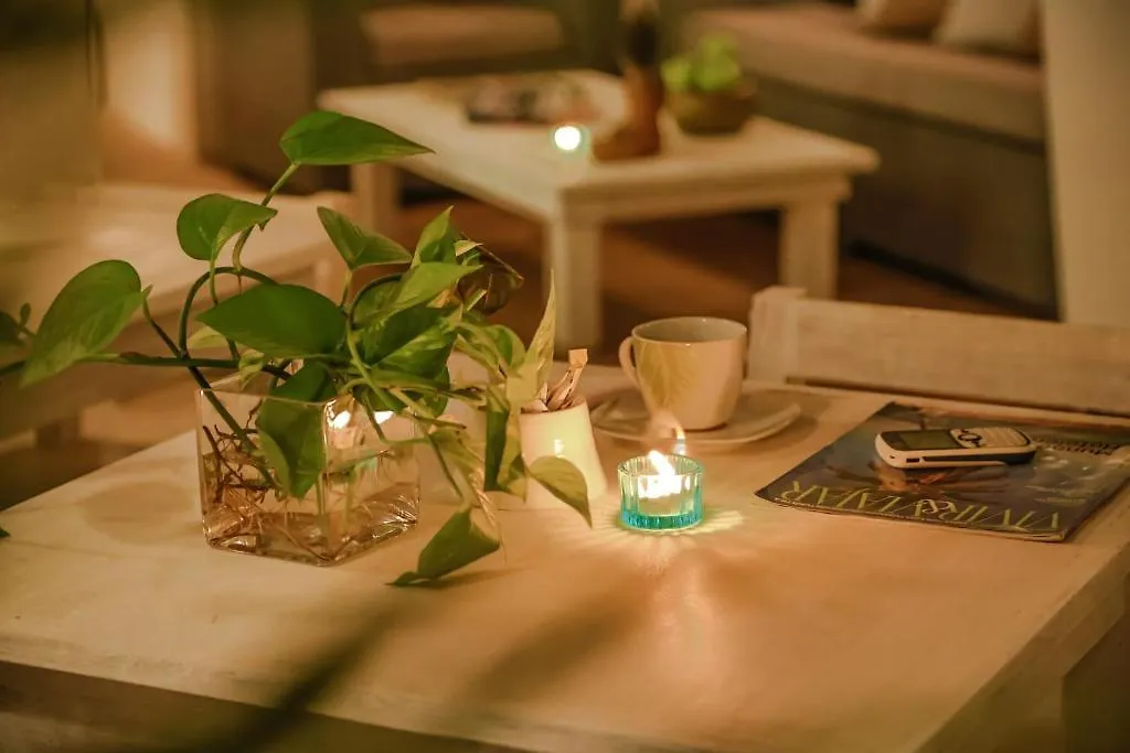 La Casa Del Arbol Hotel Boutique By Xarm Hotels Santa Marta