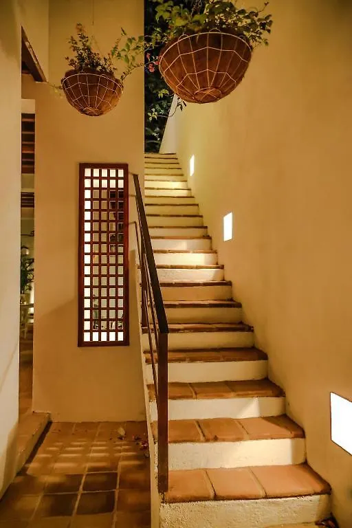 La Casa Del Arbol Hotel Boutique By Xarm Hotels Santa Marta